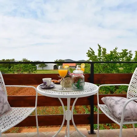 Apartament Stella *